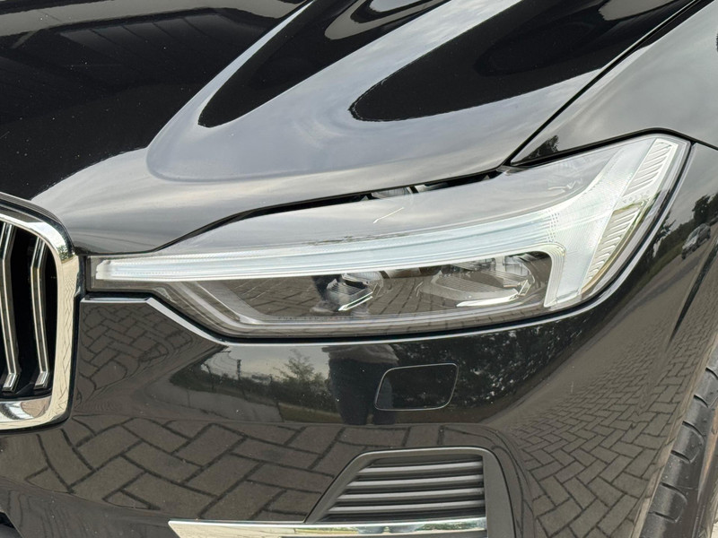46900582-5.jpg